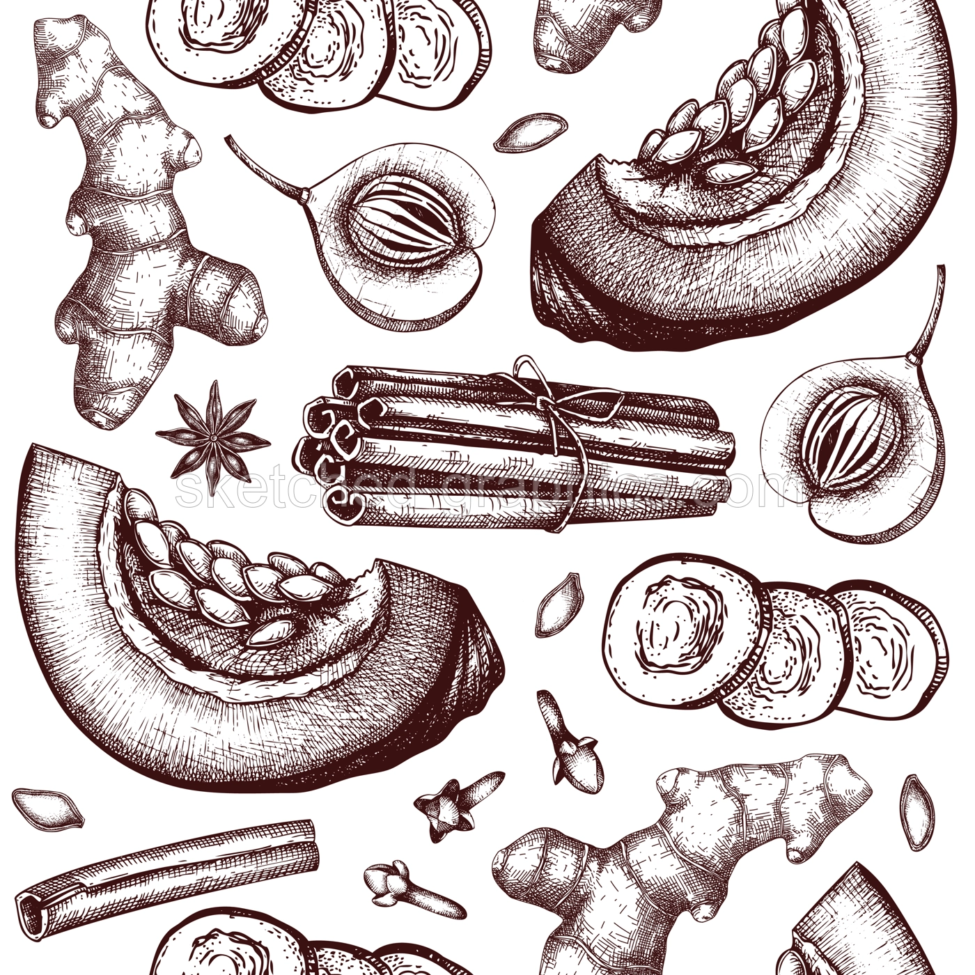 Autumn background with pumpkin spices sketches. Pumpkin cake ingredients seamless pattern. Anise star, ginger, cinnamon, nutmeg, cloves backdrop in color. Traditional fall food illustration Illustration